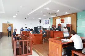 瑶海法院【庭审直击】非洲灰鹦鹉当宠物？男子获刑并公开道歉！图片