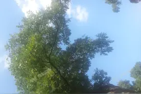 福彩快乐十分（九）走向终结图片