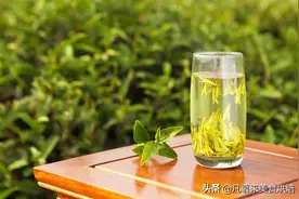 什么茶最好？茶叶品种？中国最好喝的30种名茶，如何选购茶叶图片