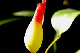 “事出反常必有妖”：做人，要提防这四个行为异常的老熟人，有理图片