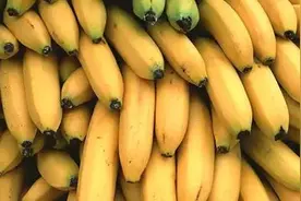 买香蕉，挑“弯”的还是“直”的？掌握这几点，挑的香蕉软糯香甜图片