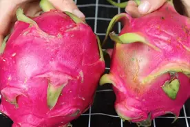 挑火龙果，记住6个方法，甜不甜看一眼就知道，一买一个准图片