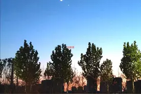 微头条发布成功后，别人看不到的4种解决方法，决不让汗水白流图片