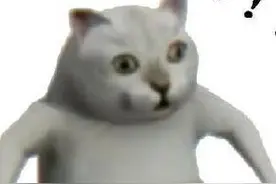 正道的光什么梗？咋就照在大地上了？图片