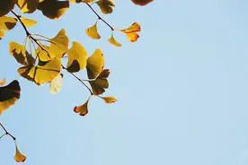 时隔9月，华南海鲜市场怎么样了？图片