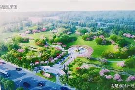 建了！沛县新城区植物园，80亩！周边N个小区居民要开心了图片