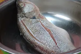 蒸鱼最忌盐和料酒，牢记“2不放，加3样”诀窍，鱼肉特别鲜嫩图片