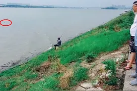 湘江“老鳖”浮头换气，瞬间被岸边男子甲鱼枪打中，路人想500买图片