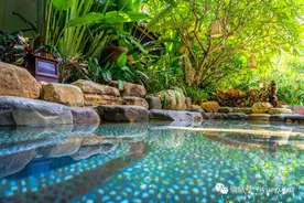 探秘“老品牌·真温泉”-厦门日月谷温泉渡假村图片