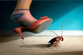 蟑螂不能踩死的说法靠谱吗？了解了它的“死穴”，比踩死更有效图片