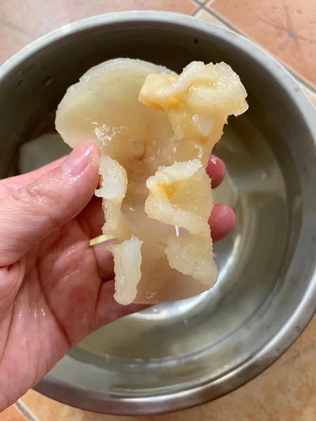 如何泡发蝴蝶花胶 2026年如何泡发蝴蝶花胶窍门 如何泡发蝴蝶花胶 2026年如何泡发蝴蝶花胶窍门