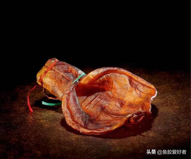 大口和豆仁鱼胶 2026年豆仁胶和大口鱼胶哪种好