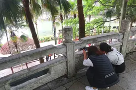 象鼻山是桂林最搞笑的景点，与游客捉迷藏，外面的大妈要上树图片