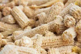 玉米“暴涨”成事实？没想到玉米芯也火了，3毛一斤回收啥情况？图片