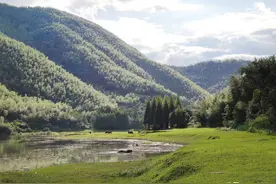 上海自驾3小时 超美小众养生地 有山有水有牛羊图片