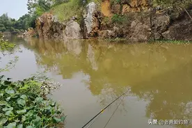 钓鱼经常脱钩的原因找到了，今天分享给大家图片