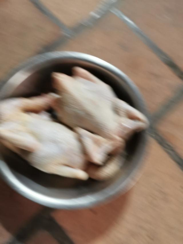 花胶响螺肉鱼翅煲鸡 2026年花胶响螺片鱼翅煲鸡汤的做法