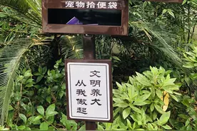 宁波这个社区居民边遛狗边做志愿服务 带动大家文明养犬图片