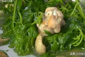 辣木叶鸡汤的家常做法，记住大厨这个小技巧，汤水更加香浓好喝！