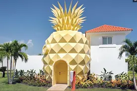 完美还原海绵宝宝的菠萝屋，住宿费高的可怕图片