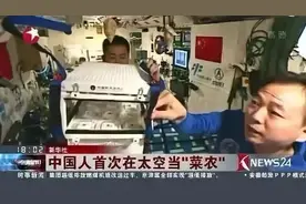 种菜，真是中国人的天赋？图片