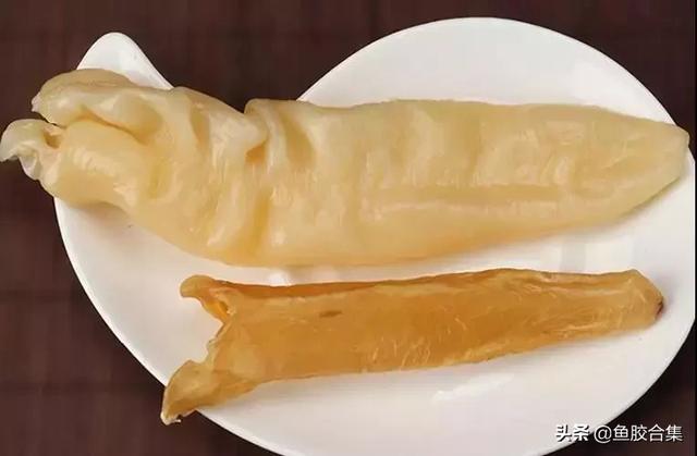 花胶泡了怎么变白的 2025年花胶泡了怎么变白的原理 花胶泡了怎么变白的 2025年花胶泡了怎么变白的原理