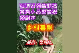 百集系列幽默搞笑类小品型微视频剧本《乡村喜剧》五/相约桃花园图片