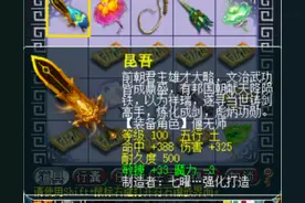 梦幻西游：随便玩几把100级武器，玩家会出几个325呢？图片