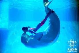 大连五一游园攻略图片