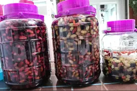 比葡萄酒好的桑椹酒制作方法图片