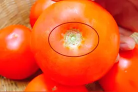 冬天买西红柿时，如何分辨激素番茄？老菜农：教您一招，一眼便知图片