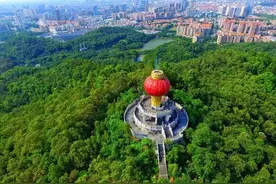 东莞100强企业名单：华为系、步步高系领衔图片