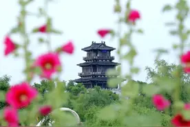 6月13日起，衡水园博园恢复周六免费开放图片