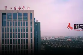 “华西村第二”的三房巷，为何钟情“蛇吞象”重组？图片