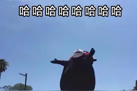 超级烦人的开屏广告，没了图片