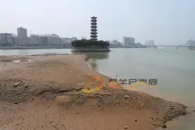 直击：河床裸露，市民结队“寻宝”！多辆共享单车尴尬露脸图片