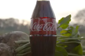 世界上喝可乐最多的人，10年喝掉6.5万瓶可乐图片