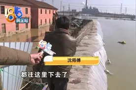 工地泥浆流入鱼塘，按几斤赔卡住了图片