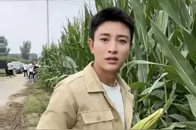 贾乃亮干农活被疑作秀！无证开收割机摇头晃脑，掰未熟玉米遭吐槽图片