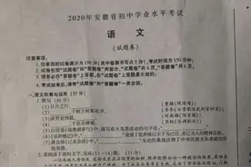 2020年安徽中考语文试卷图片