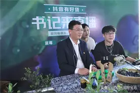 宝山蓝莓熟啦！西海岸新区 “书记带货”买买买！图片