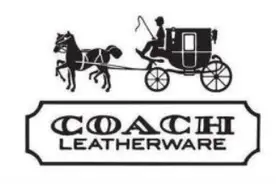 全球十大轻奢品牌，你了解多少？图片