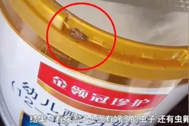 女子发现幼儿奶粉出现虫卵，与厂家协商无果，厂家：不是质量问题图片