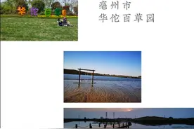 亳州华佗百草园图片