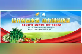 槟榔胡椒菠萝怎么防病虫？民生广播《致富大学堂》送科技下乡教你如何解决图片