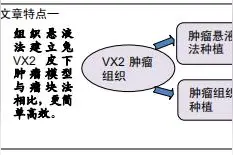 对比组织悬液法及组织块法建立兔VX2皮下肿瘤模型的差异图片
