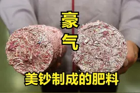 废旧货币，中美都是怎么处理的？美国直接当肥料，这么豪气？图片