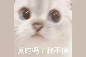 热门表情包图片：谢谢老板，恭喜发财图片