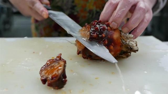 海鞘为了生存能有多狠？吃掉自己的脑子，从动物变成“植物”