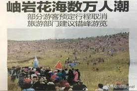 岫岩县黄岭村，映山红即将喷薄怒放、红遍山岭，吸引万人涌入图片